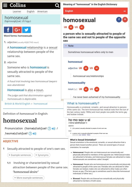 Lesbians react to London Pride