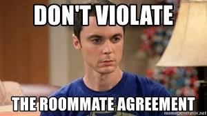 Are these rules for my lodger too harsh?