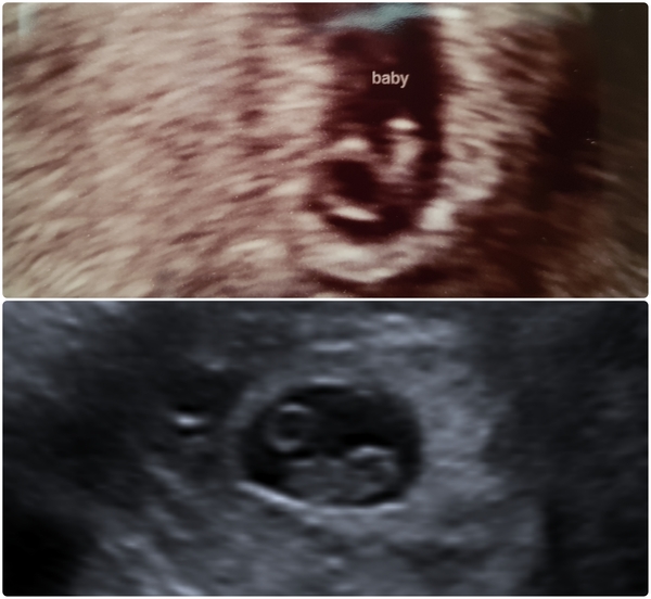 February 2019 part 3