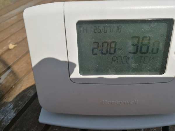To think it's not hot at all