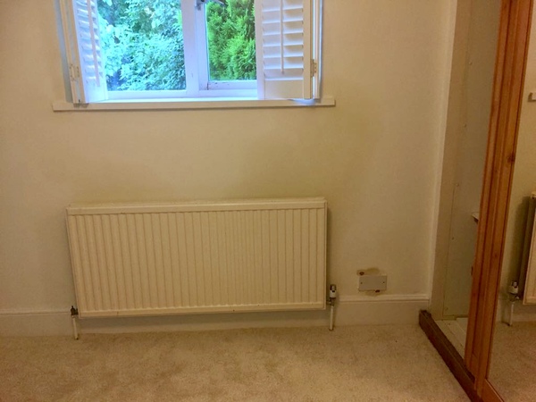 Help diagnosing and fixing damp patches on wall