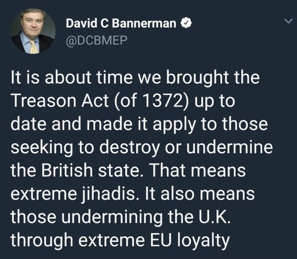 Should Remainers be prosecuted for Treason, one MEP thinks so