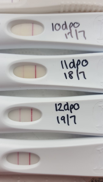 Due March 2019