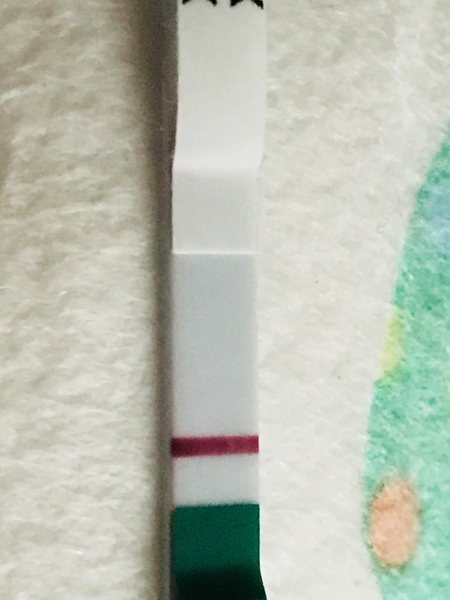 12 Days Late - No AF - BFN!