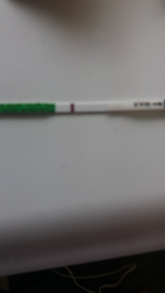 Can you see the line