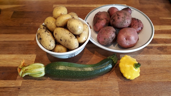 Allotment/Veg Patch Thread 12! Plotmenters hoping for better weather