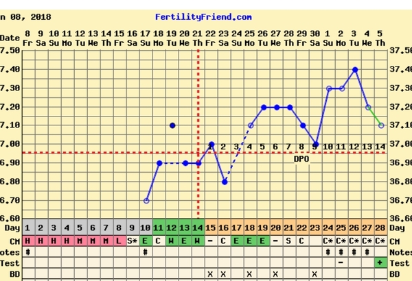 TTC after miscarriage - charting and heart rate (pic)