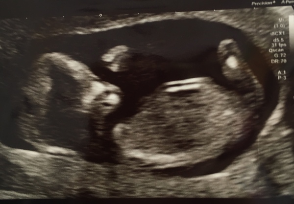 February 2019 part 4