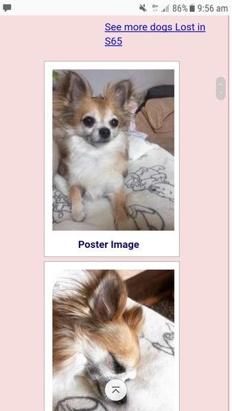 To ring RSPCA?