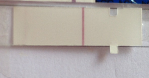 Does everyone get a faint grey line on frers?