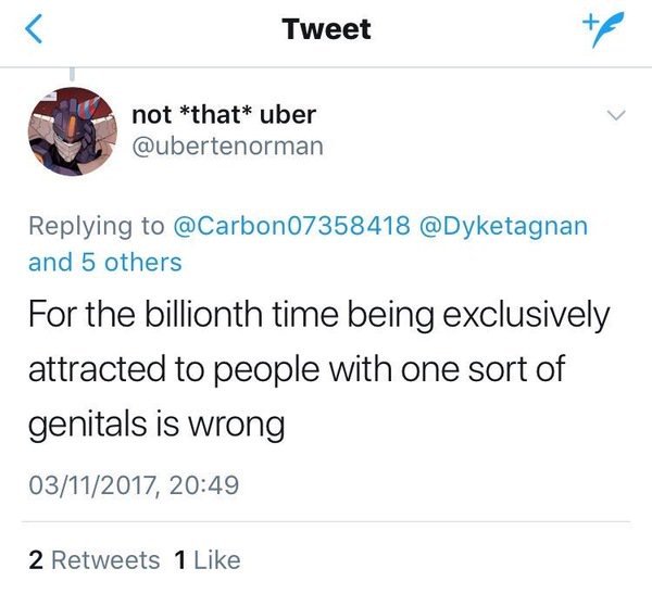 Lesbians react to London Pride