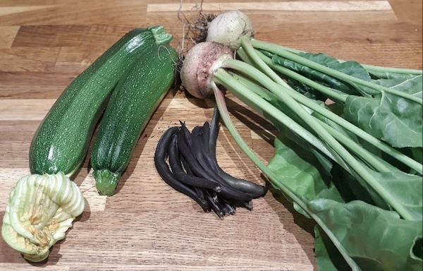 Allotment/Veg Patch Thread 12! Plotmenters hoping for better weather