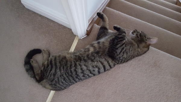 Too hot!