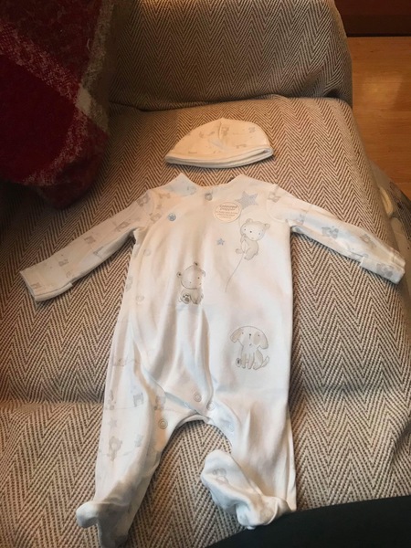 August 2018 #6 - Impending Births and The Final Push!