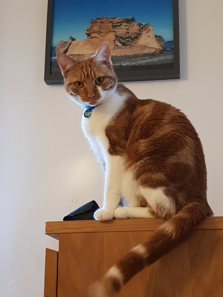 What's your DCat up to today? (Thread 7!)