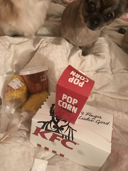 February 2019 part 3