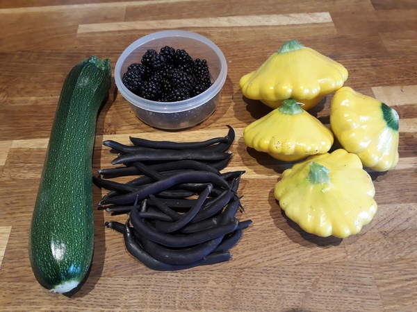 Allotment/Veg Patch Thread 12! Plotmenters hoping for better weather