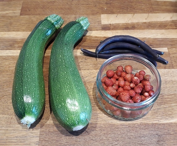 Allotment/Veg Patch Thread 12! Plotmenters hoping for better weather