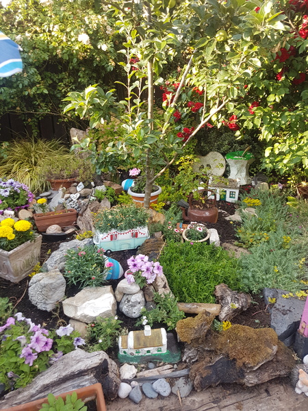 Show me your rockery!