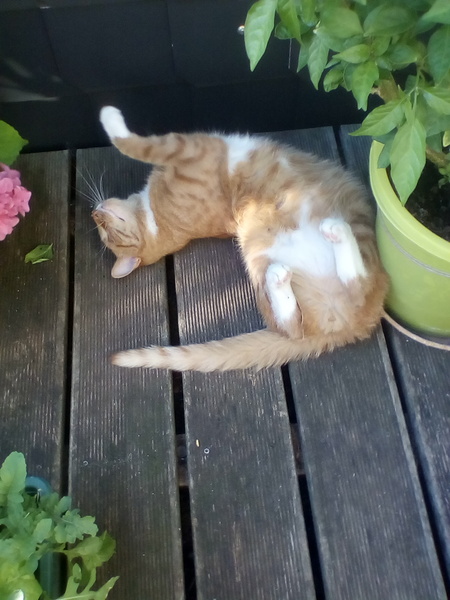 Too hot!