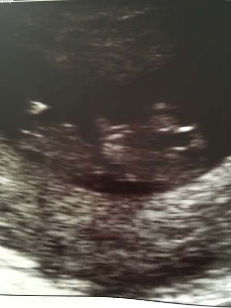 February 2019 part 4