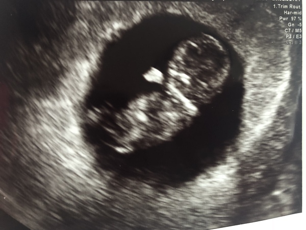 February 2019 part 4