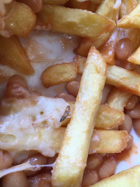 AIBU to ask WTF is this in my food?