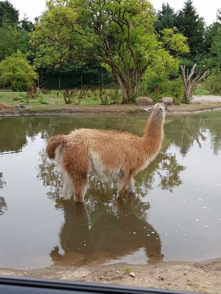 The Friendly Frugaleers: Saving and chatting as the heatwave rolls on.
