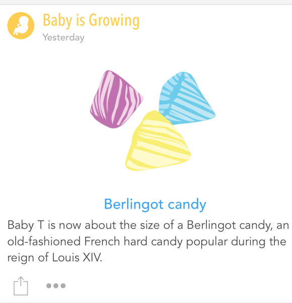 February 2019 part 3