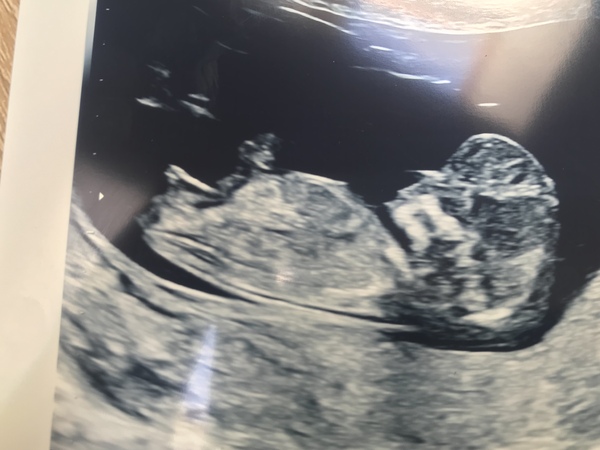 February 2019 part 4