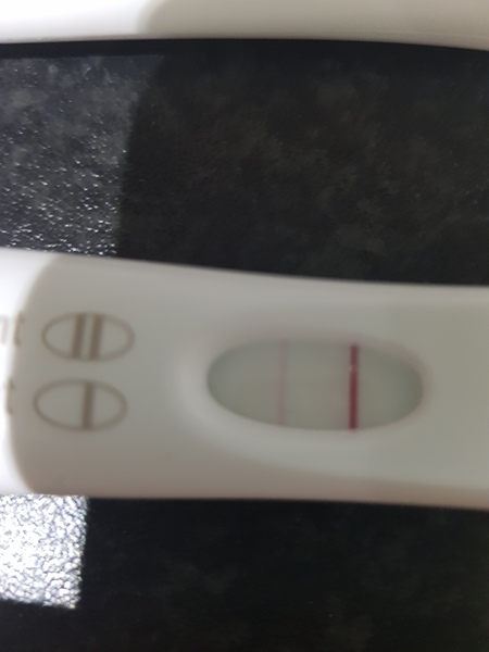 TTC after pregnancy loss- thread 23 🐧🐧
