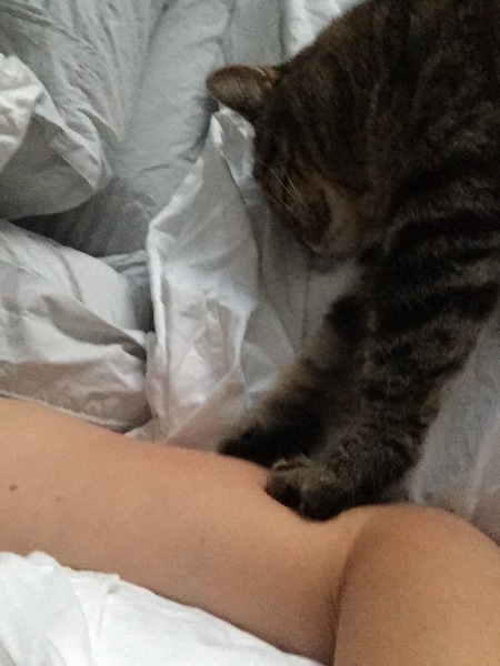 The Friendly Frugaleers; joyfully saving through July