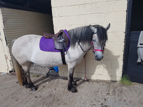 Less booze. More AF days. But still a bit damp. Not dry jan, but not a soggy summer. Support thread for reducing alcohol.