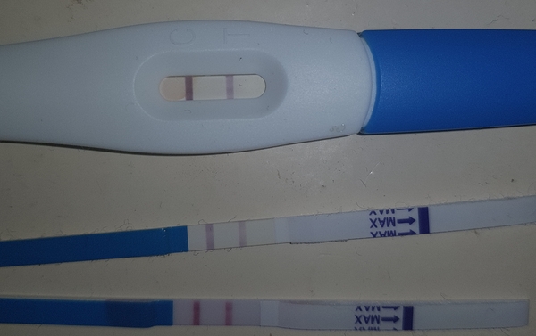 How many tests did you take after BFP?