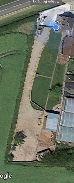 To ask you for ideas what to do with my garden?