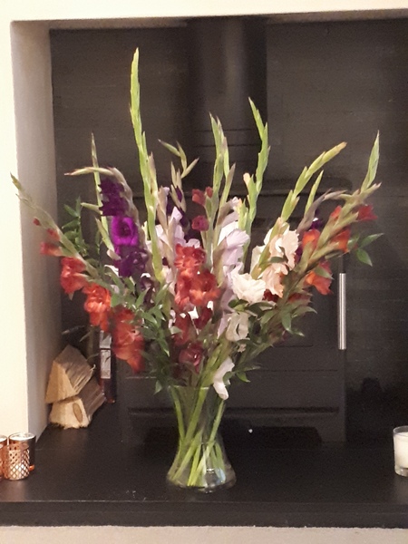 Free box of flowers - Freddie's Flowers