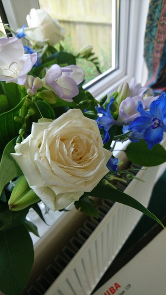 Unacceptable flower delivery service (online company)
