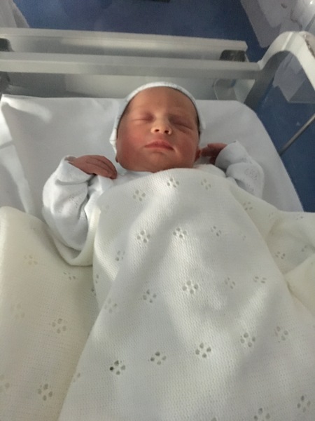 August 2018 #6 - Impending Births and The Final Push!