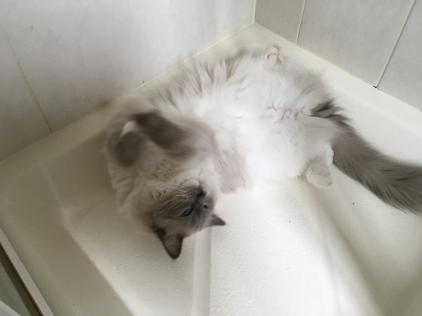 Too hot!