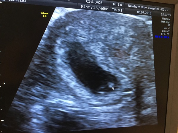 February 2019 part 3