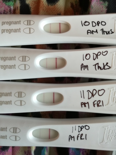 TTC after pregnancy loss- thread 23 🐧🐧