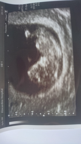 February 2019 part 3