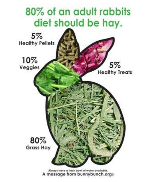 If you have pet rabbits how much do they cost weekly?