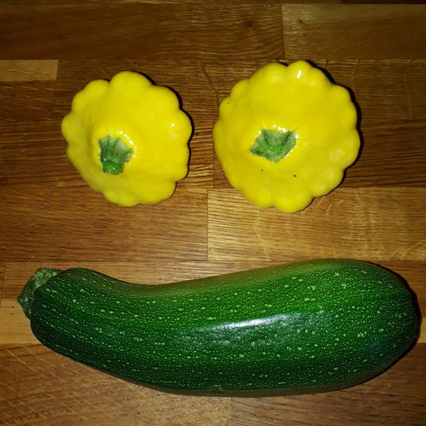 Allotment/Veg Patch Thread 12! Plotmenters hoping for better weather
