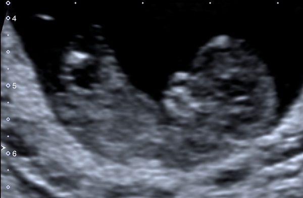 February 2019 part 4