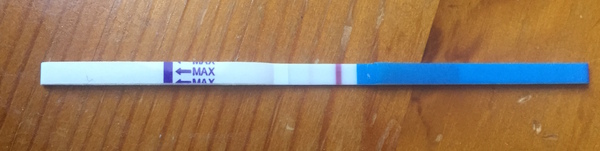 Was this implantation bleeding?!