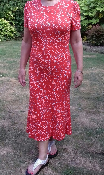 Opinions on this dress please