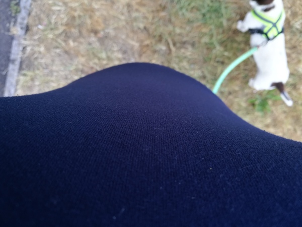 First Pregnancies with Nov/Dec Due dates :)