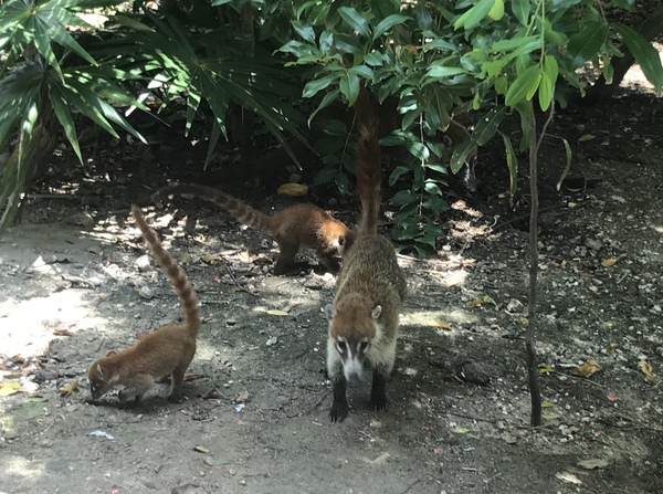 XCARET CANCUN