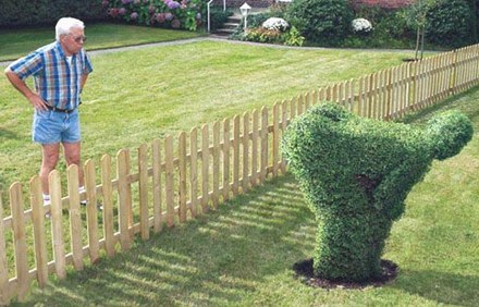Neighbour does not like the look of my garden - threatening to sue